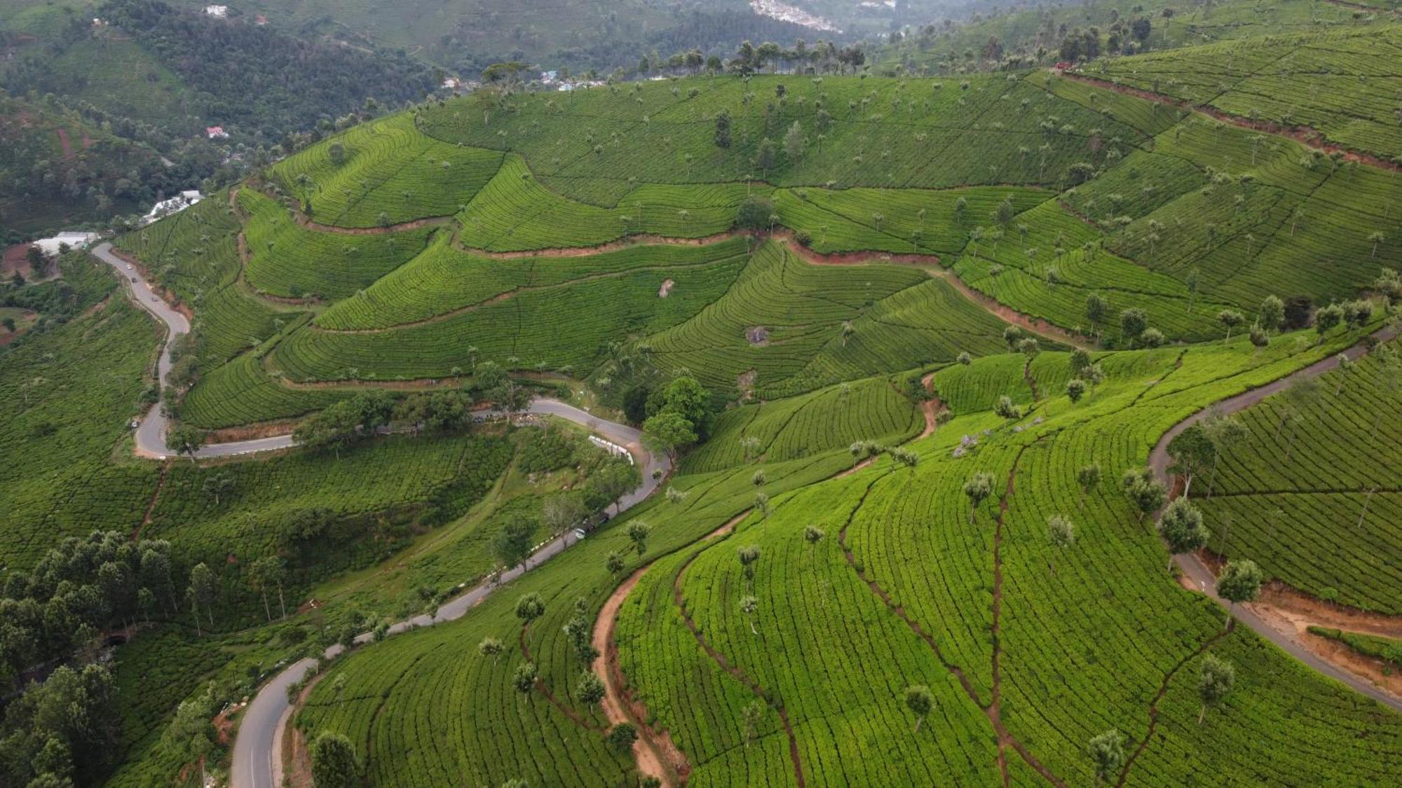 Casa De Selas Coonoor Eksteriør billede